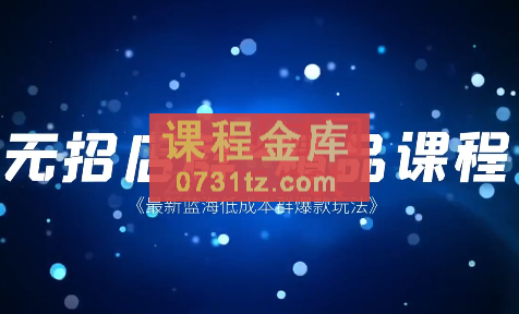 雷子·蓝海群爆款特训营，价值4980元