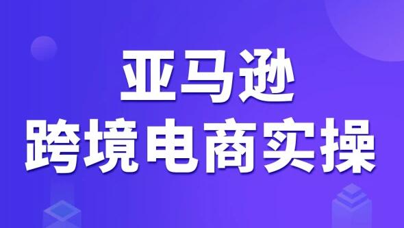 亚马逊跨境电商vip课程，价值3980元