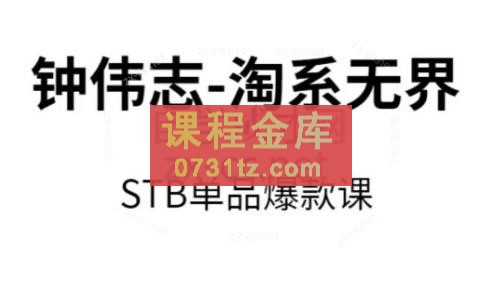 钟伟志·淘系无界STB单品爆款课（2024）