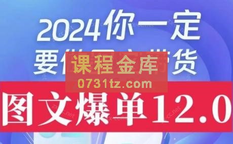 抖鑫传媒·短视频图文带货12.0