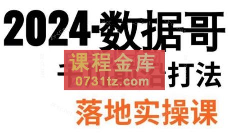 数据哥·2024年千川前沿打法落地实操课