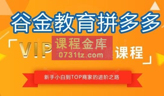 谷金多多学堂·拼多多0-100实战训练营（更新23年9月）