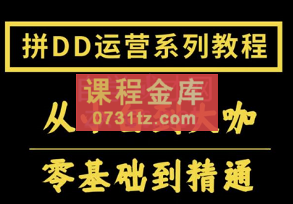 2022全套拼多多核心实操课程，价值500元