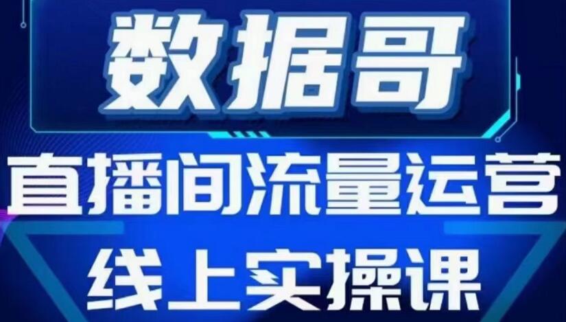 数据哥流量运营线上实操课，价值398元