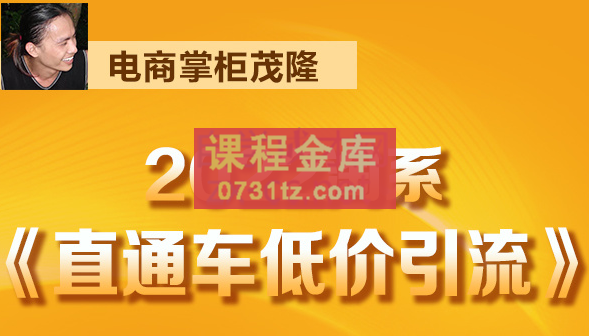 电商掌柜杨茂隆·2022直通车低价引流玩法课程，价值1998元