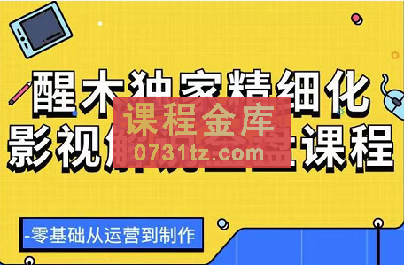 醒木独家精细化影视解说全盘课程，价值599元